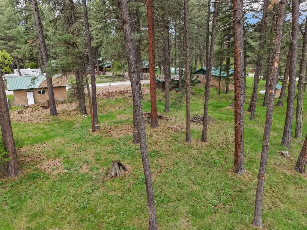 4030 Snow Fleury Lane Lincoln MT 59639