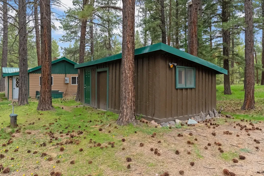 4030 Snow Fleury Lane Lincoln MT 59639