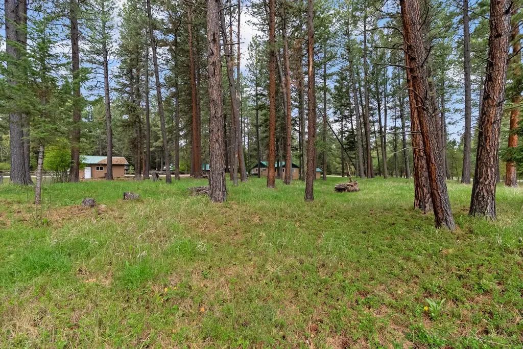 4030 Snow Fleury Lane Lincoln MT 59639