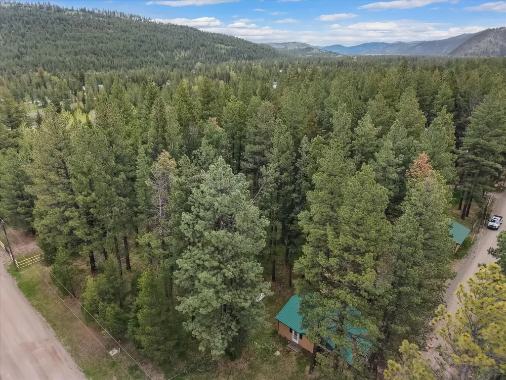 4030 Snow Fleury Lane Lincoln MT 59639