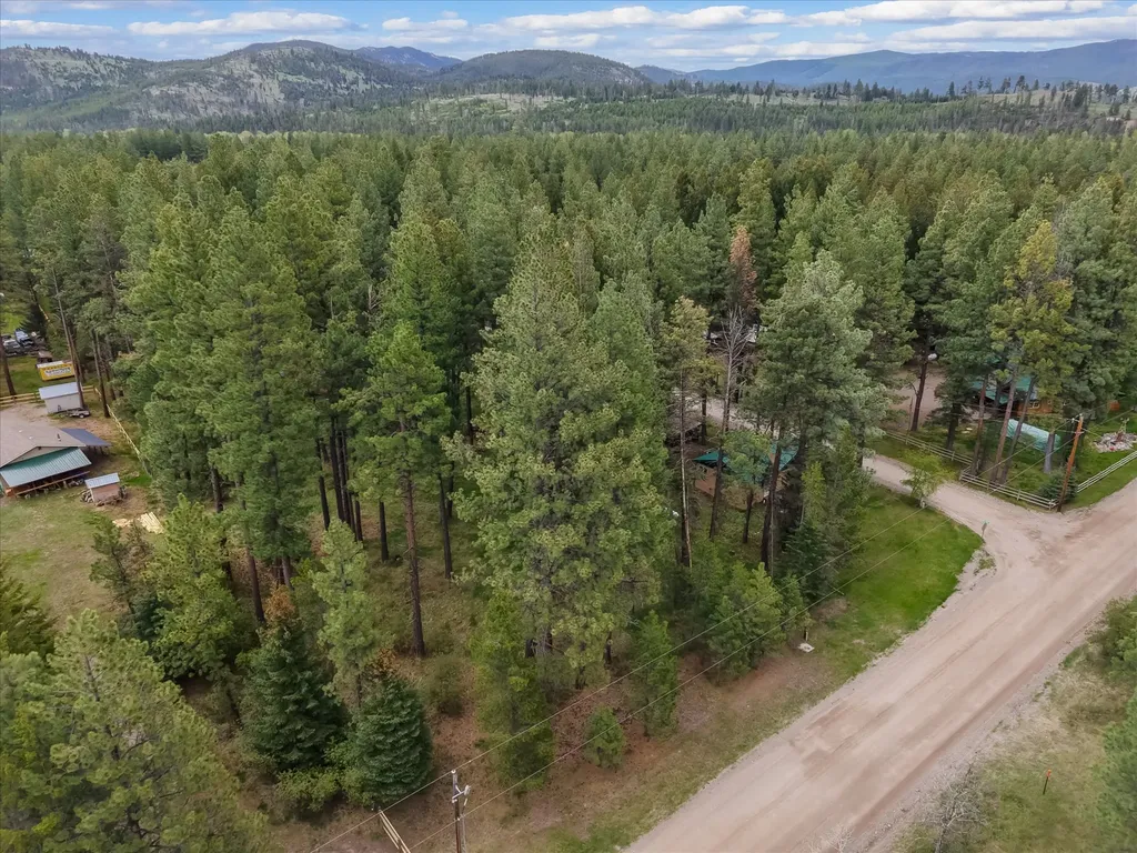4030 Snow Fleury Lane Lincoln MT 59639