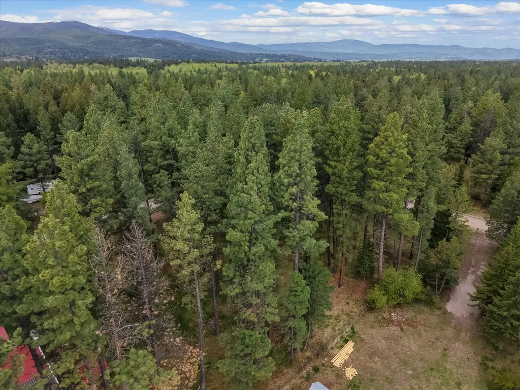 4030 Snow Fleury Lane Lincoln MT 59639