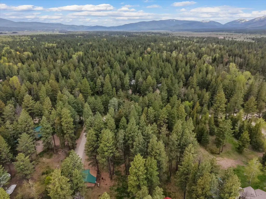 4030 Snow Fleury Lane Lincoln MT 59639