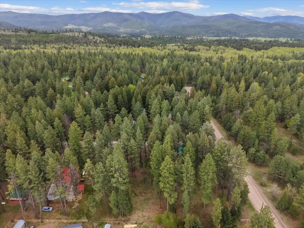 4030 Snow Fleury Lane Lincoln MT 59639