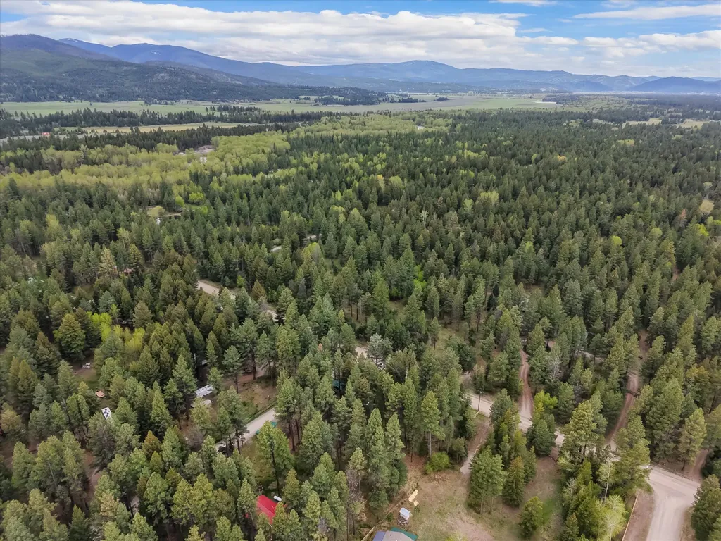 4030 Snow Fleury Lane Lincoln MT 59639
