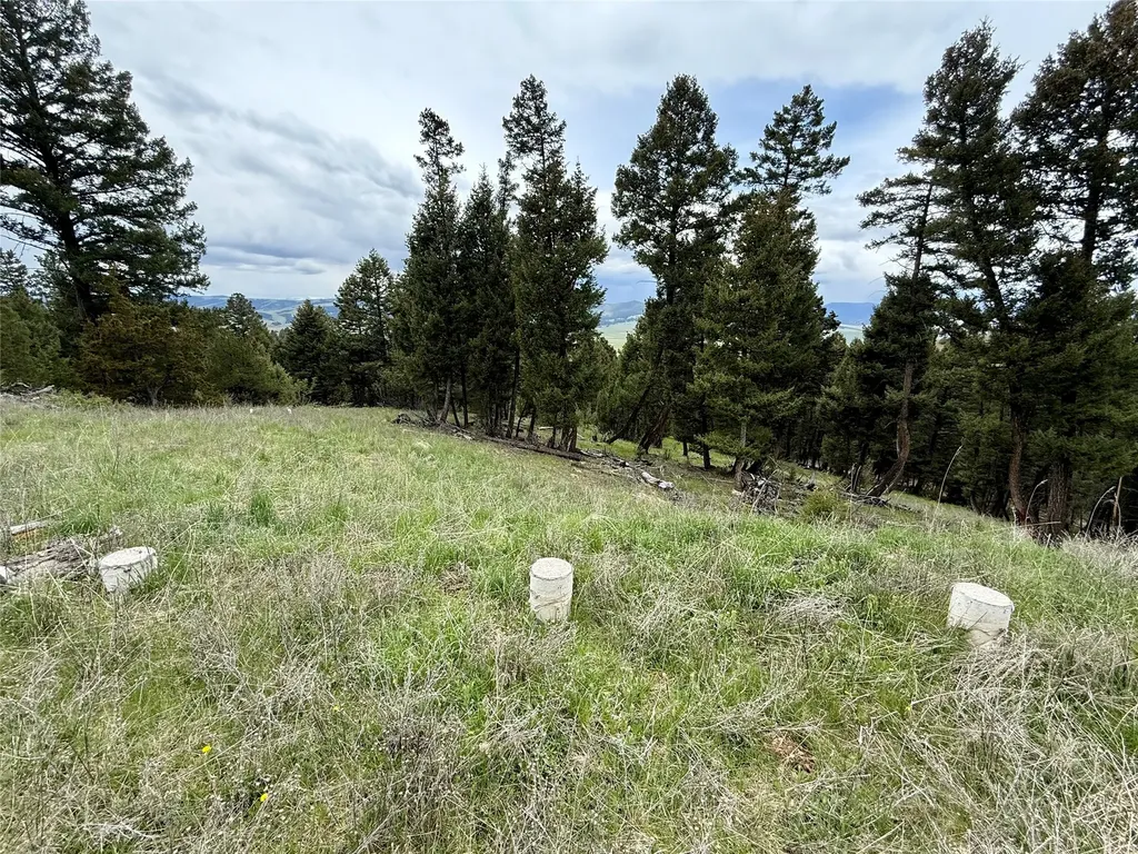 130 Granite Road Philipsburg MT 59858
