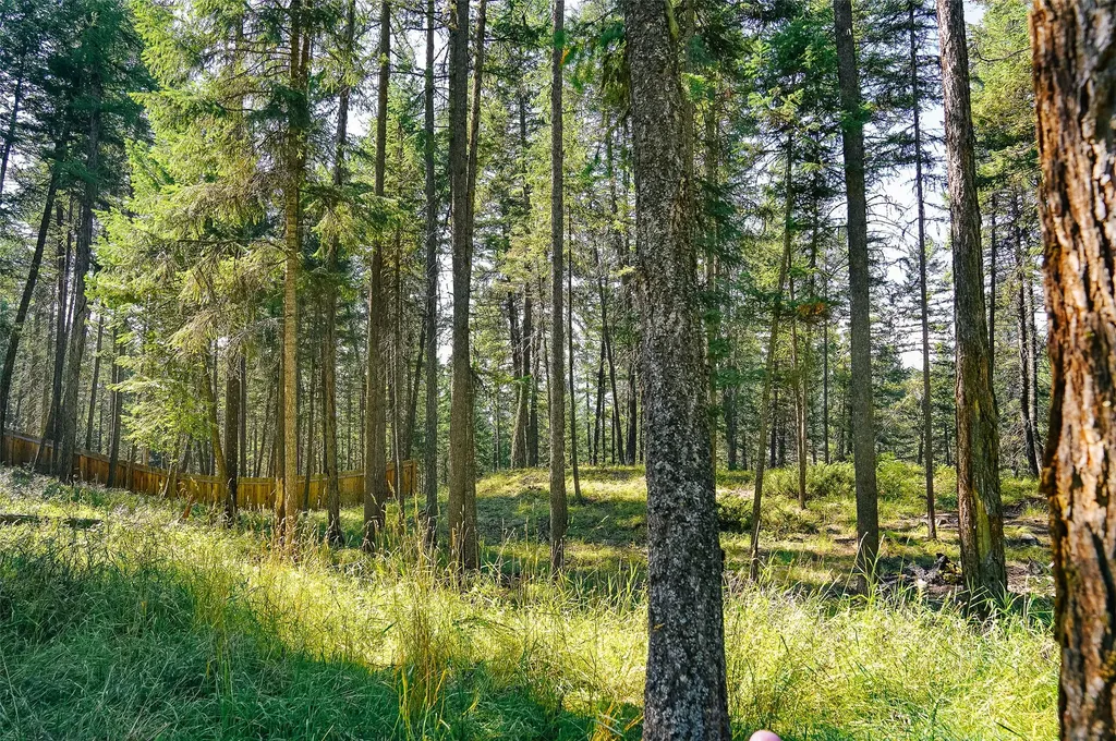 176 Murray Ridge Road Whitefish MT 59937