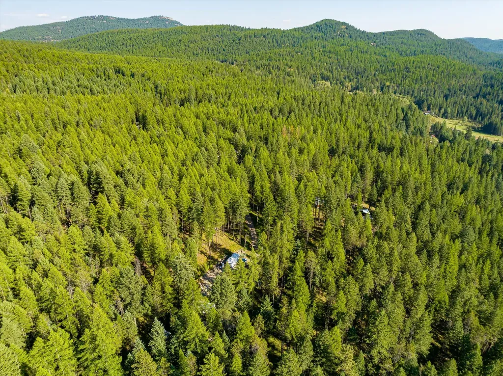 176 Murray Ridge Road Whitefish MT 59937
