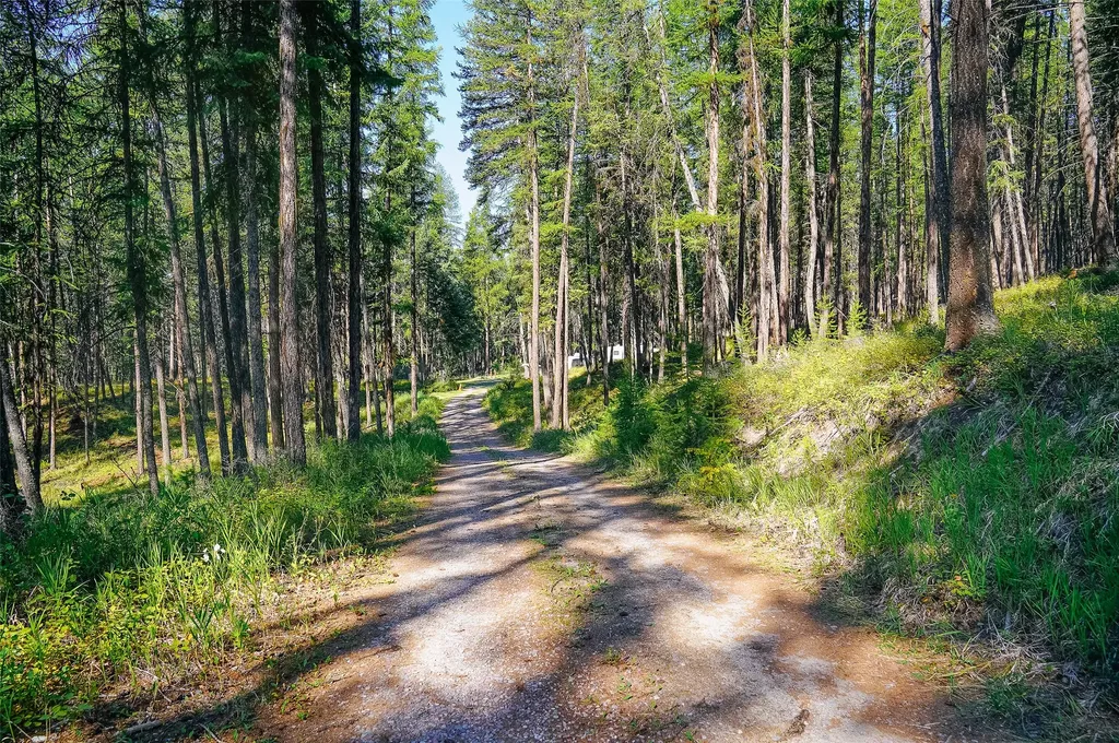 176 Murray Ridge Road Whitefish MT 59937
