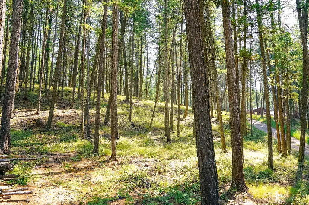 176 Murray Ridge Road Whitefish MT 59937