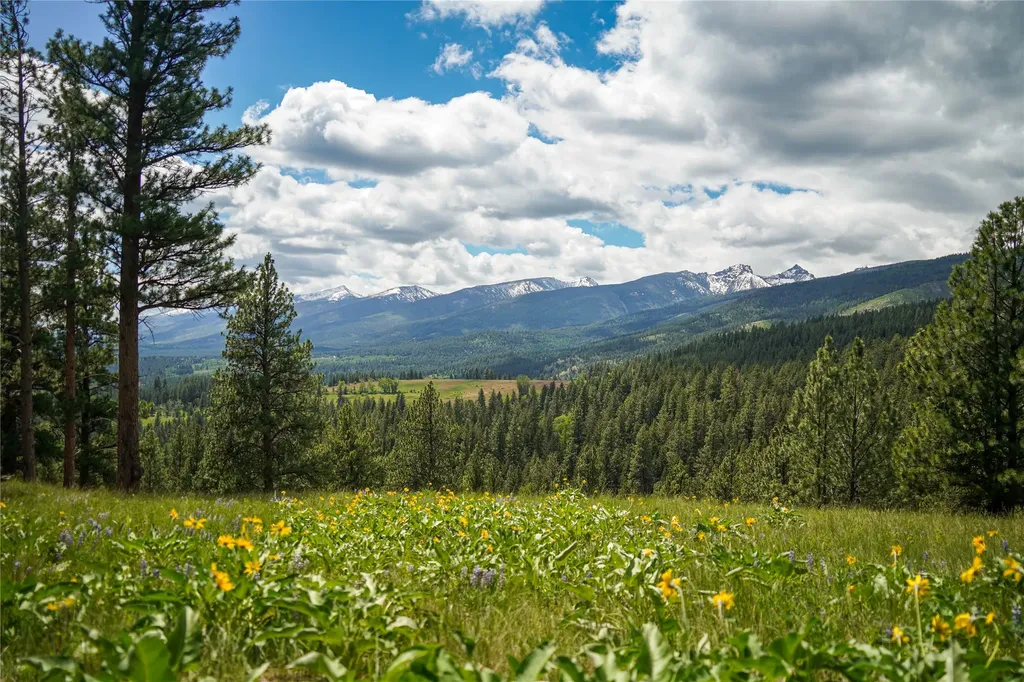 Nhn Dry Smith Road Victor MT 59875
