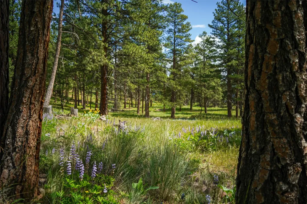 Nhn Dry Smith Road Victor MT 59875