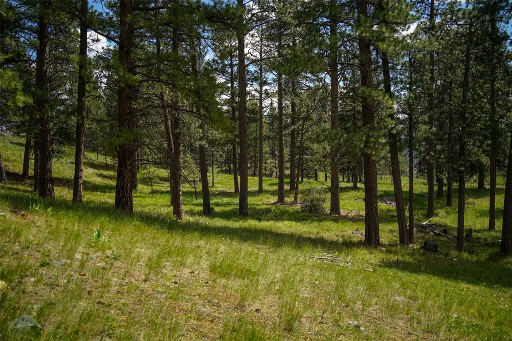Nhn Dry Smith Road Victor MT 59875