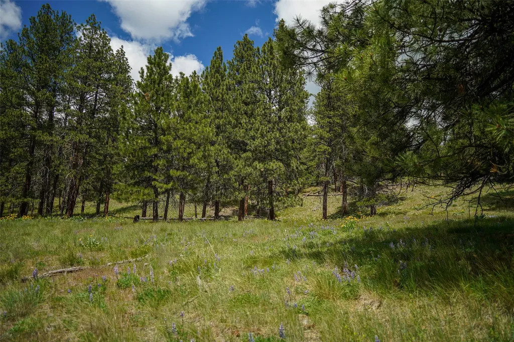 Nhn Dry Smith Road Victor MT 59875