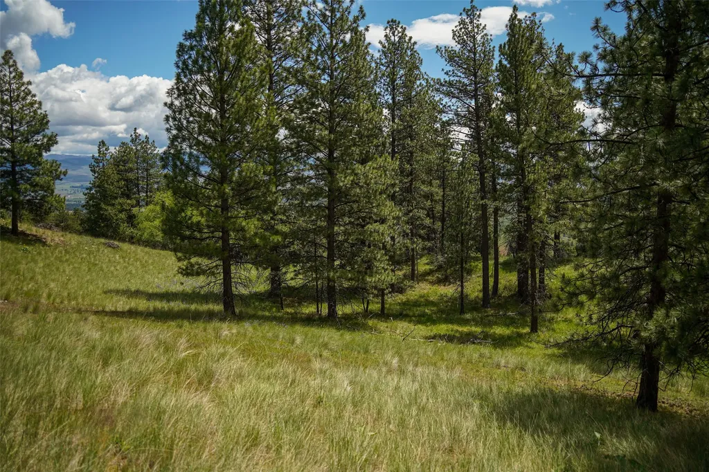 Nhn Dry Smith Road Victor MT 59875