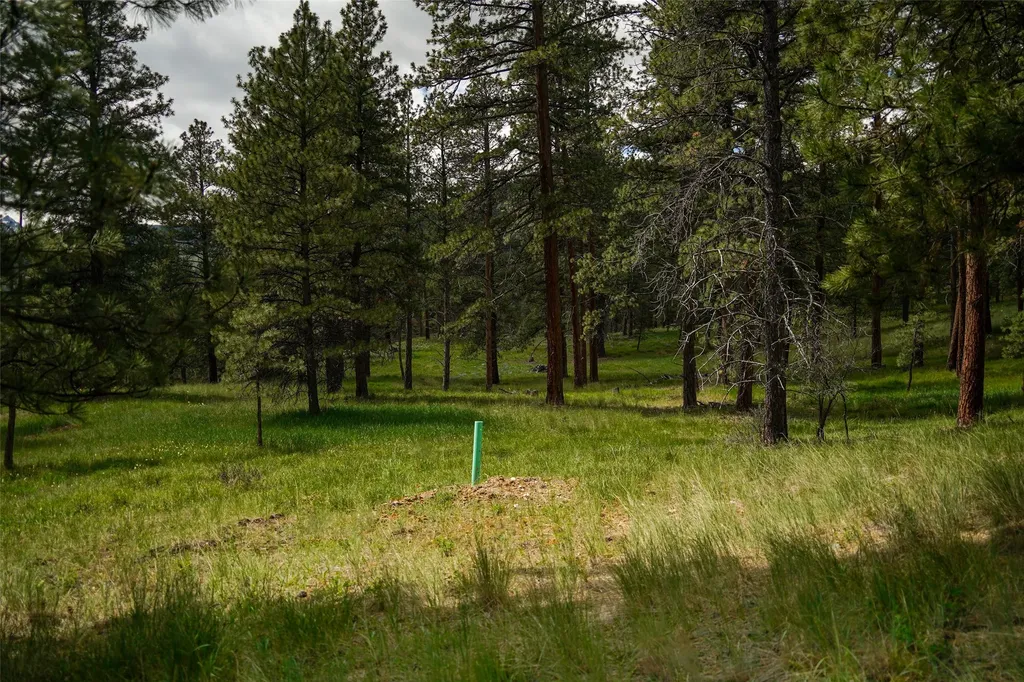 Nhn Dry Smith Road Victor MT 59875