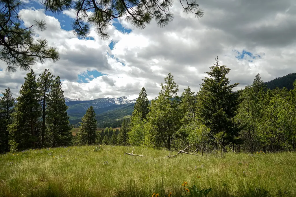 Nhn Dry Smith Road Victor MT 59875