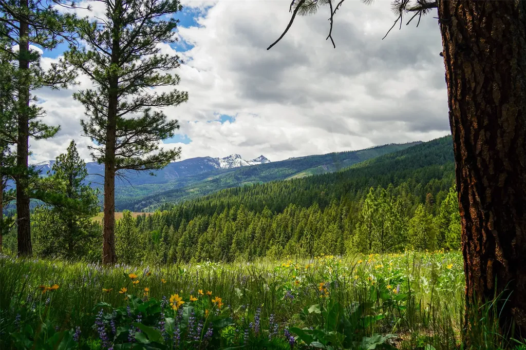 Nhn Dry Smith Road Victor MT 59875