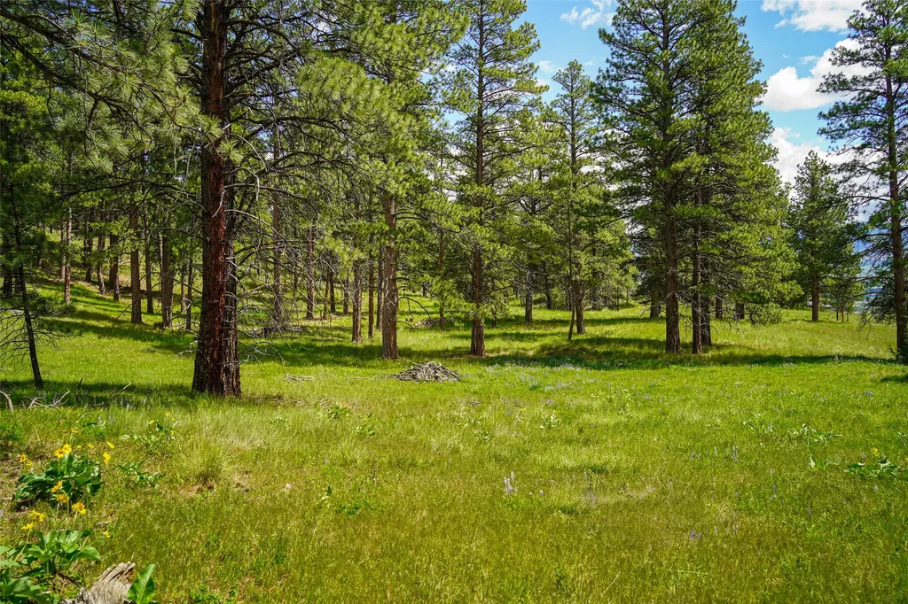 Nhn Dry Smith Road Victor MT 59875