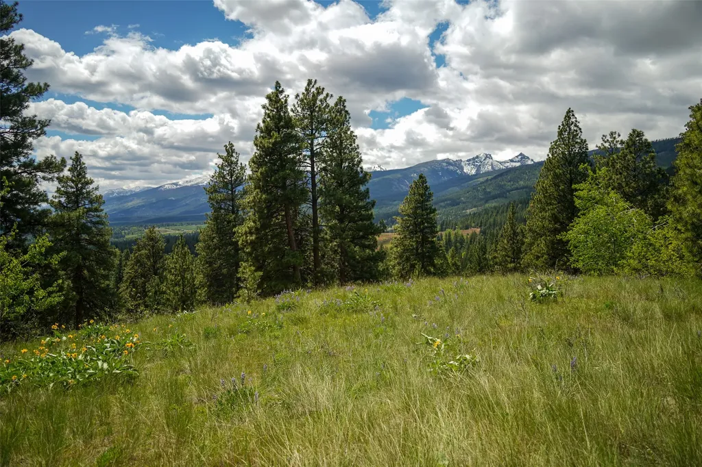 Nhn Dry Smith Road Victor MT 59875