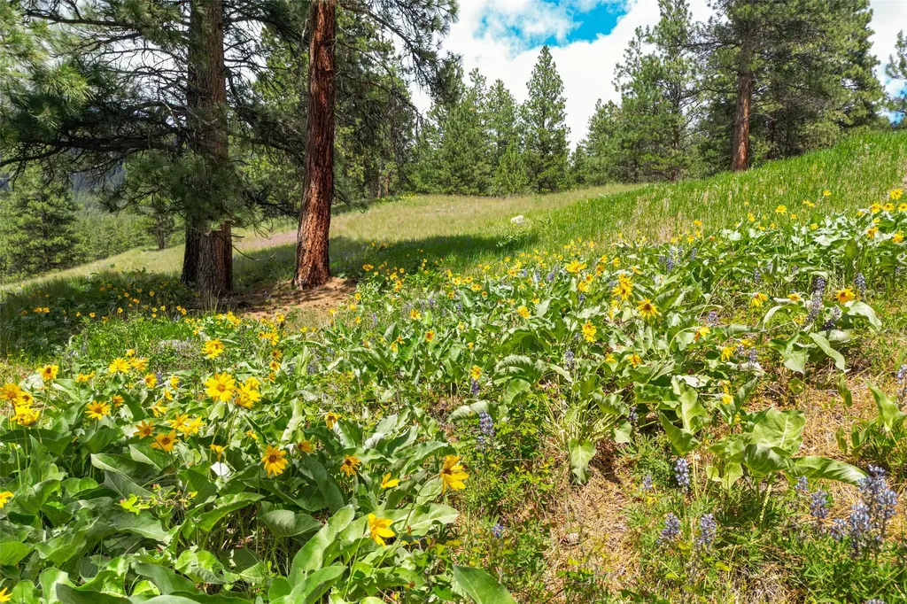 Nhn Dry Smith Road Victor MT 59875