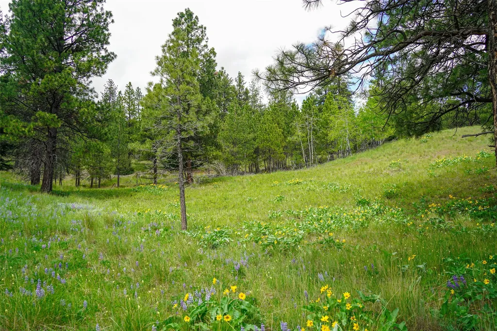 Nhn Dry Smith Road Victor MT 59875