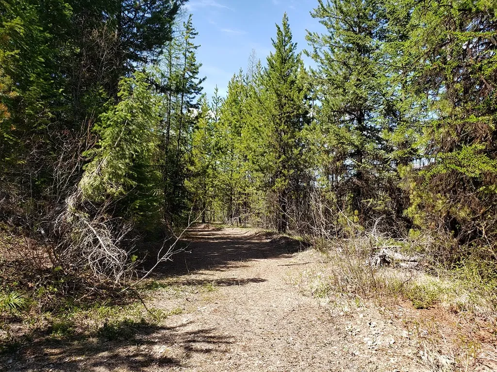 Tract 10 Ida Lode Nine Mile Road Huson MT 59846
