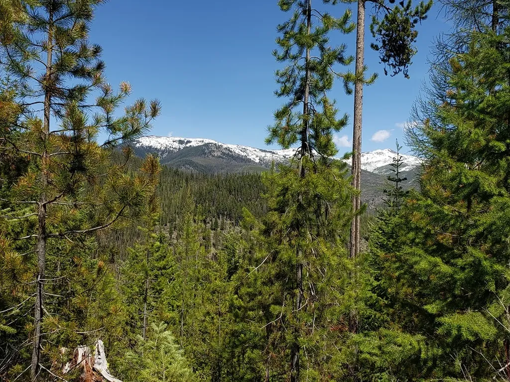 Tract 10 Ida Lode Nine Mile Road Huson MT 59846