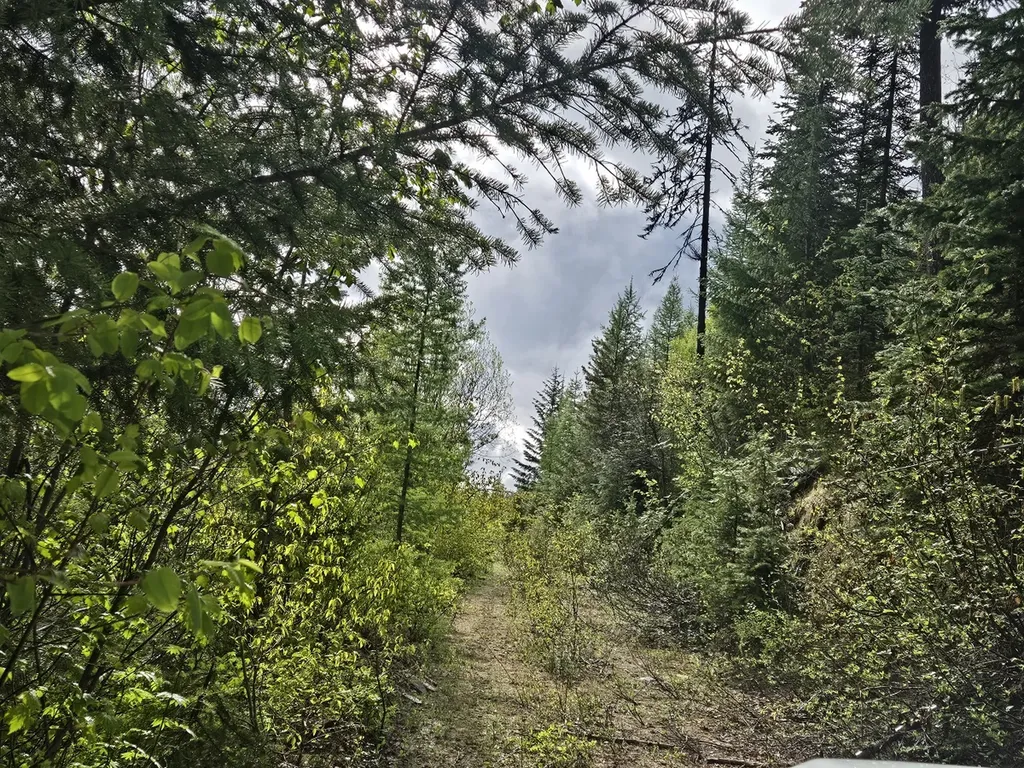 Tract 10 Ida Lode Nine Mile Road Huson MT 59846