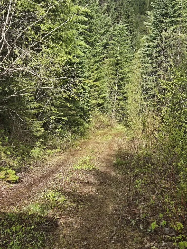 Tract 10 Ida Lode Nine Mile Road Huson MT 59846
