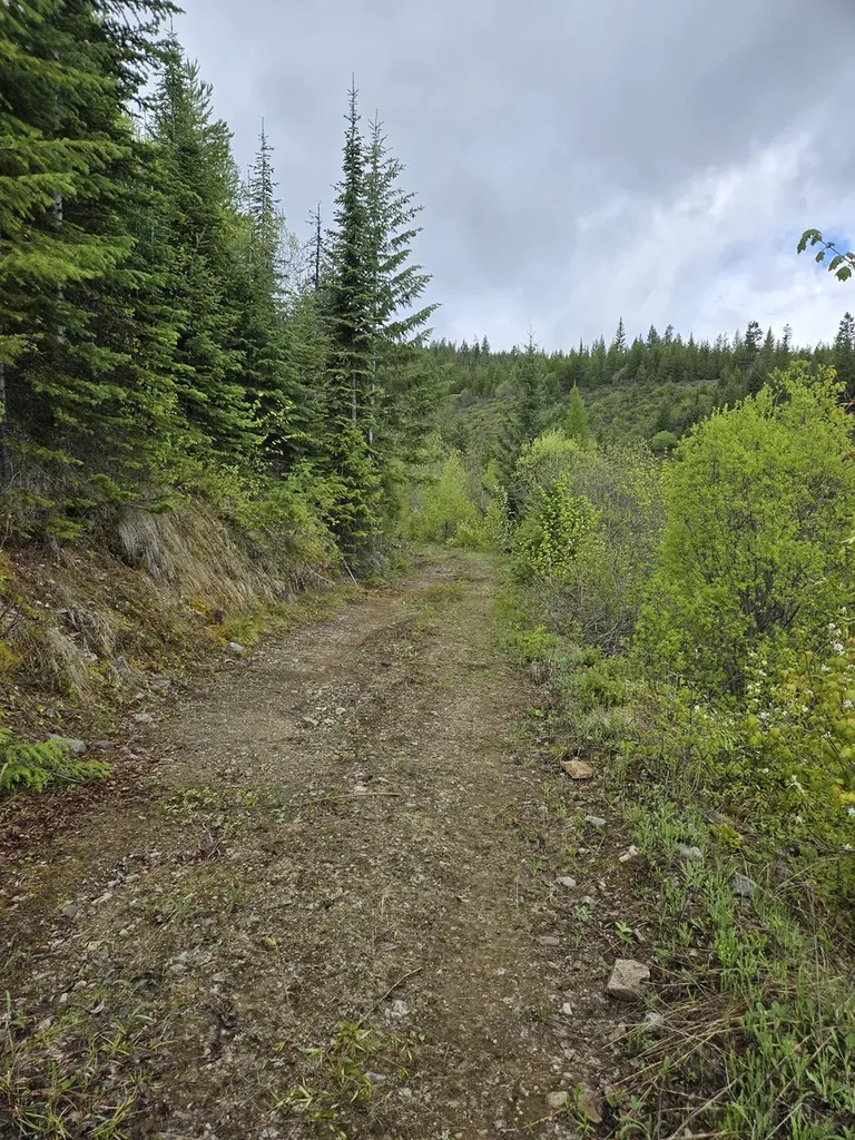 Tract 10 Ida Lode Nine Mile Road Huson MT 59846