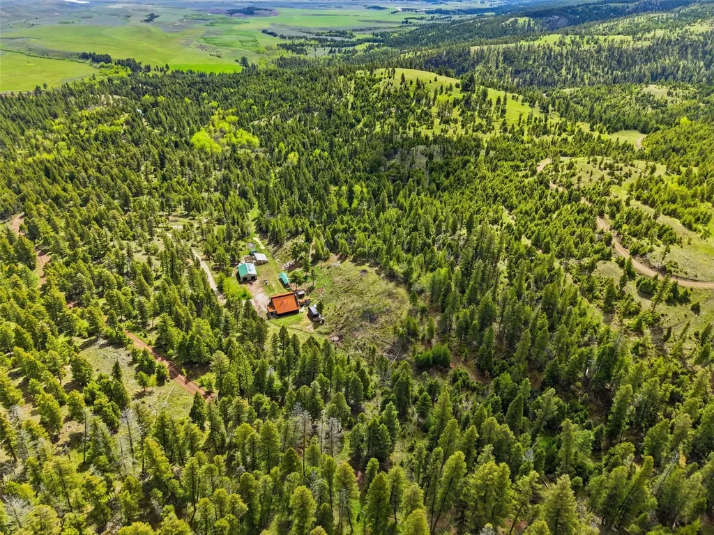 668 Wild Horse Loop Drummond MT 59832