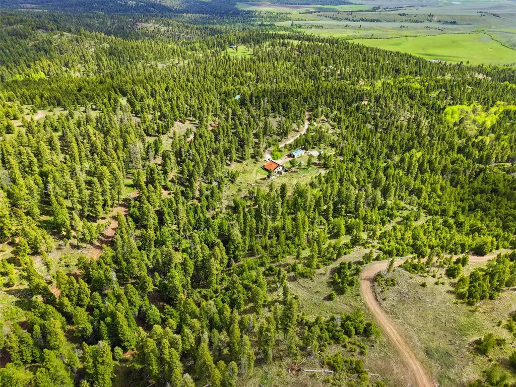 668 Wild Horse Loop Drummond MT 59832