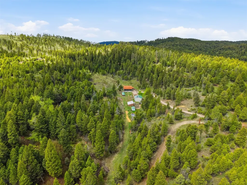 668 Wild Horse Loop Drummond MT 59832