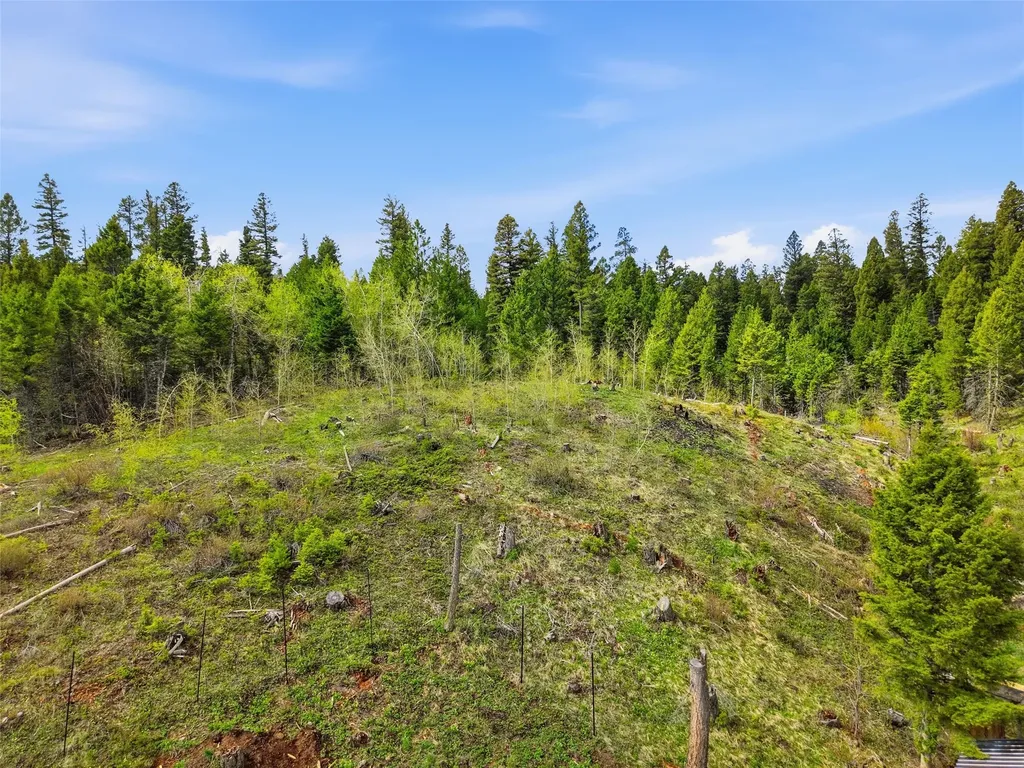 668 Wild Horse Loop Drummond MT 59832