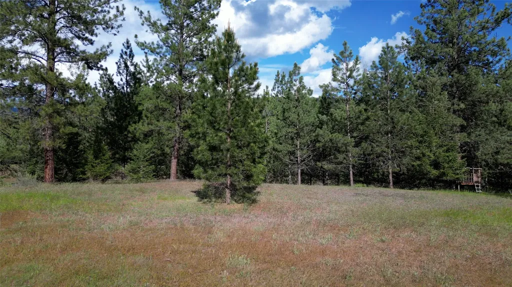 88 High Country Road Plains MT 59859