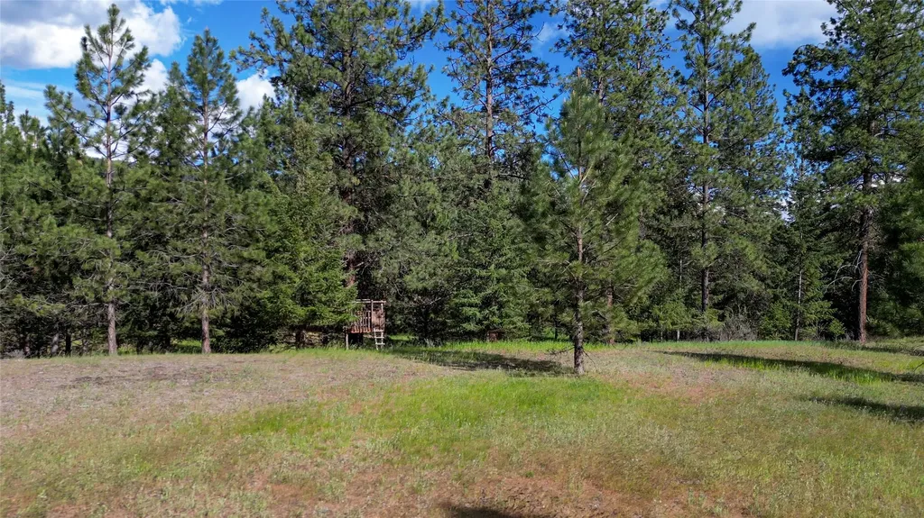88 High Country Road Plains MT 59859
