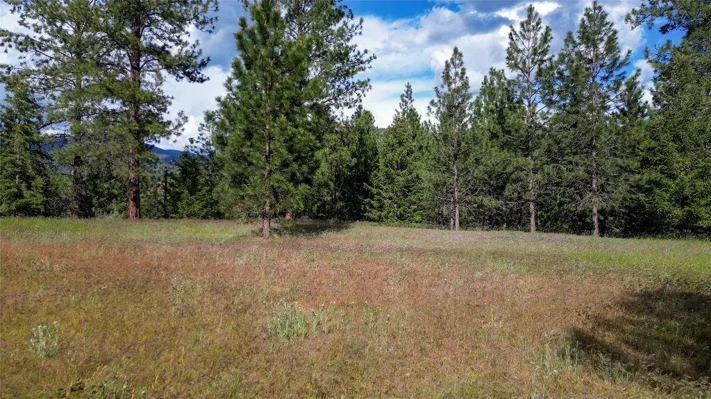 88 High Country Road Plains MT 59859