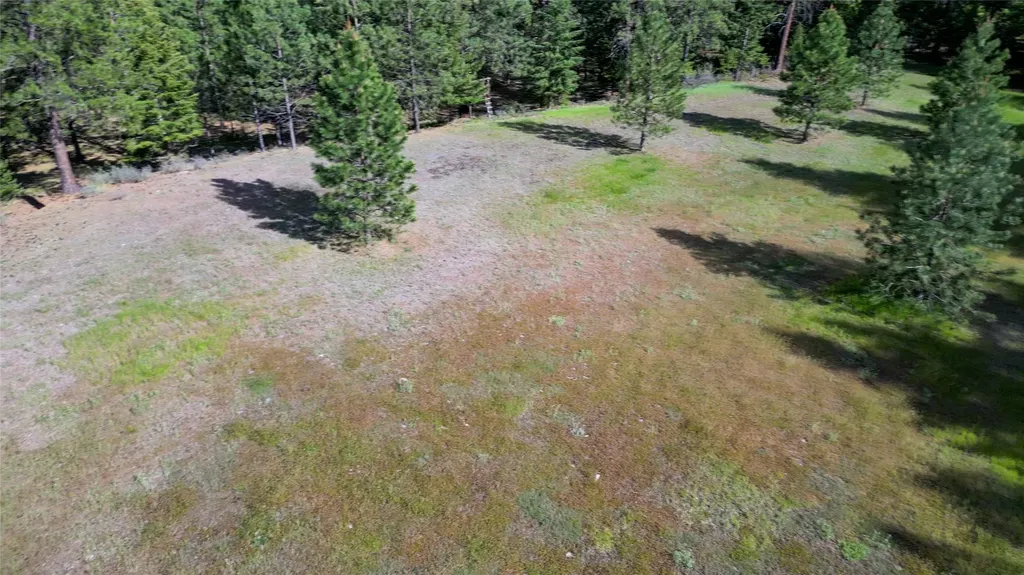 88 High Country Road Plains MT 59859
