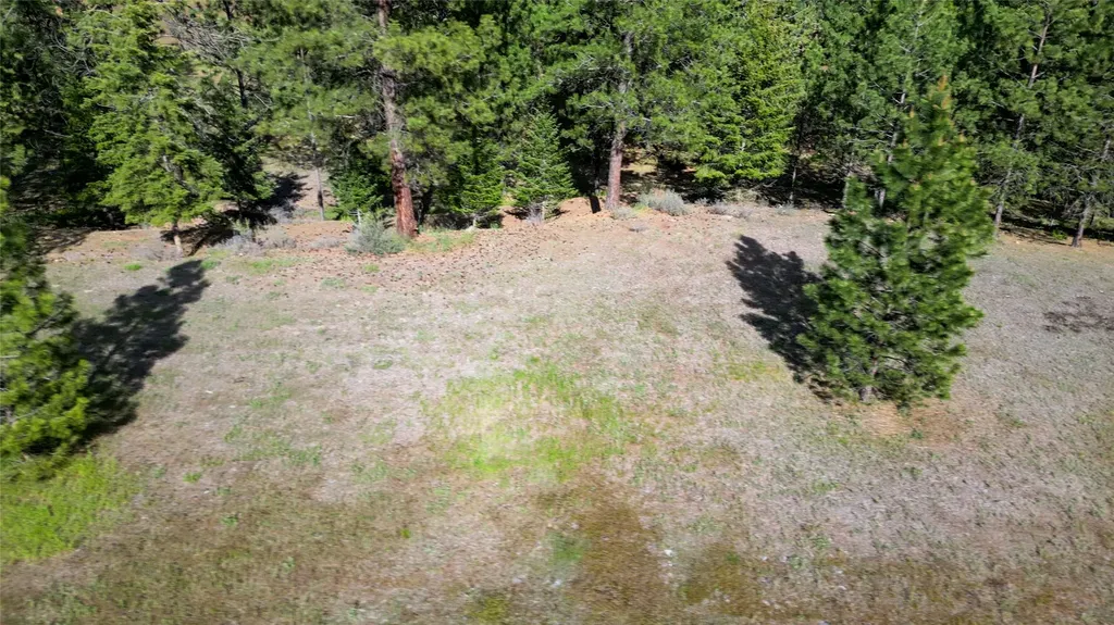 88 High Country Road Plains MT 59859