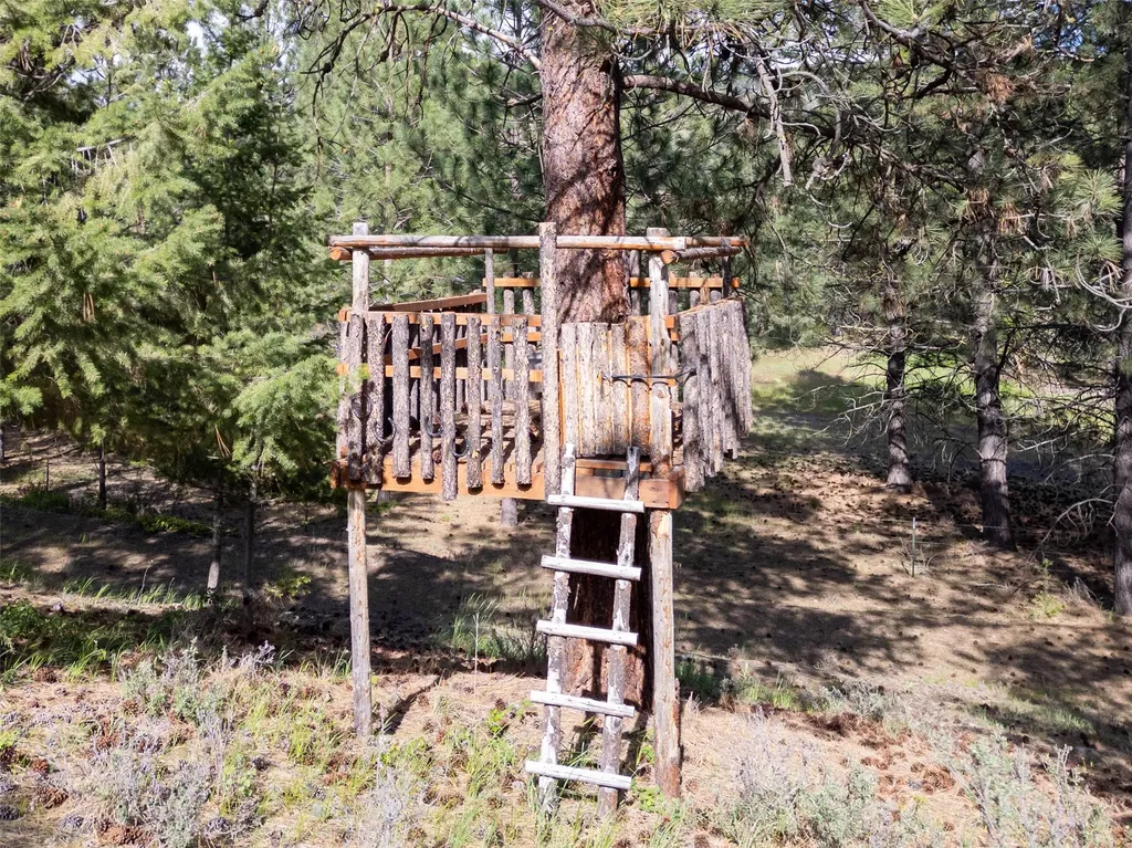 88 High Country Road Plains MT 59859