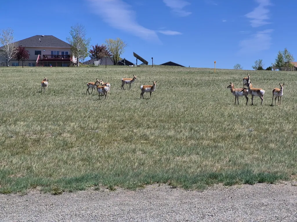 4599 Emerald Ridge Loop Helena MT 59602