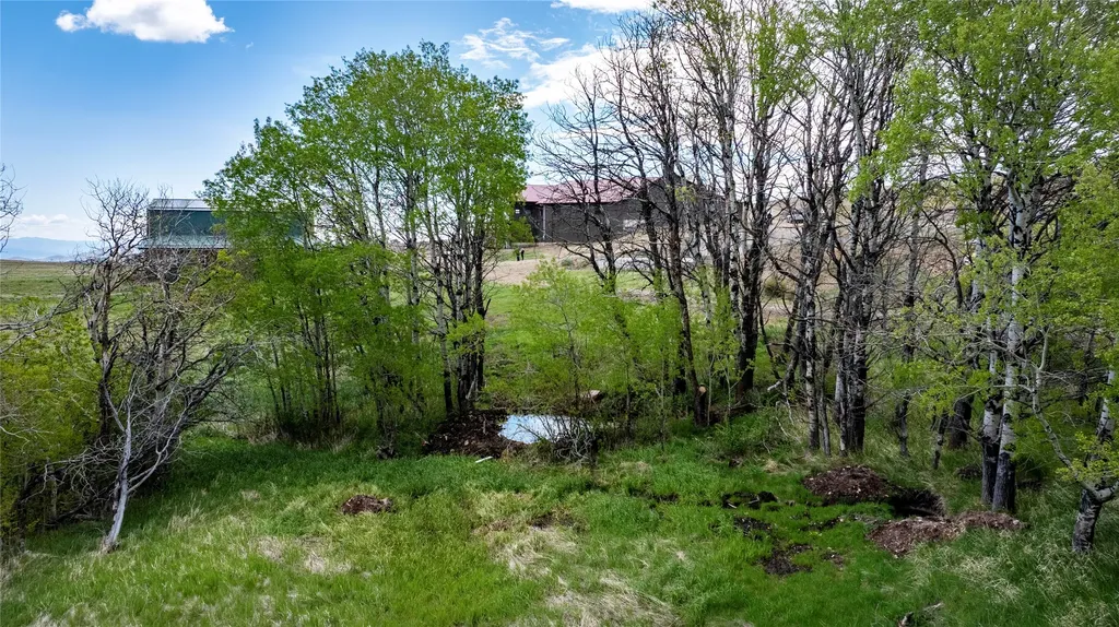 6860 Raven Road Helena MT 59602
