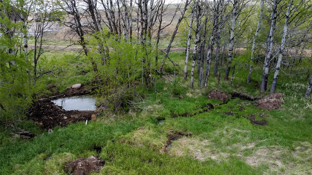 6860 Raven Road Helena MT 59602