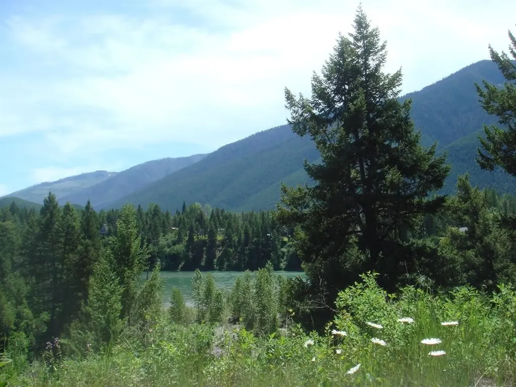 5379 Flathead Ranch Road Columbia Falls MT 59912