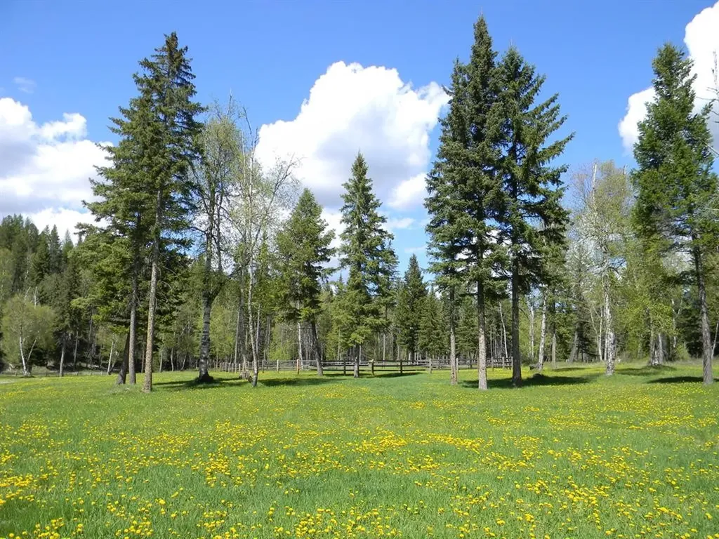 5379 Flathead Ranch Road Columbia Falls MT 59912