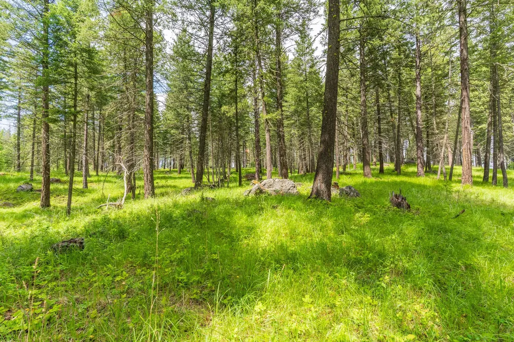510 Swan Hill Road Bigfork MT 59911