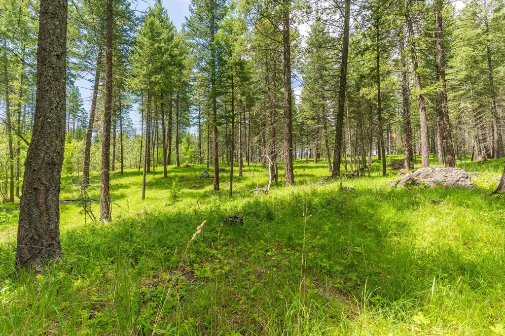 510 Swan Hill Road Bigfork MT 59911