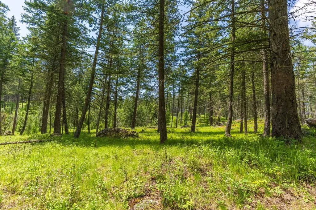 510 Swan Hill Road Bigfork MT 59911
