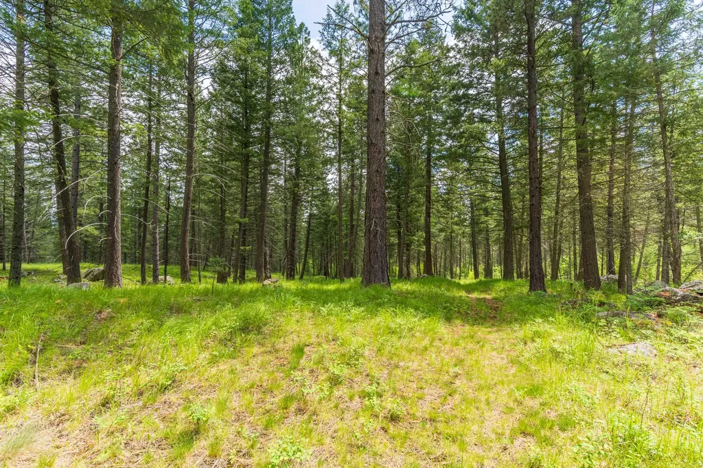 510 Swan Hill Road Bigfork MT 59911